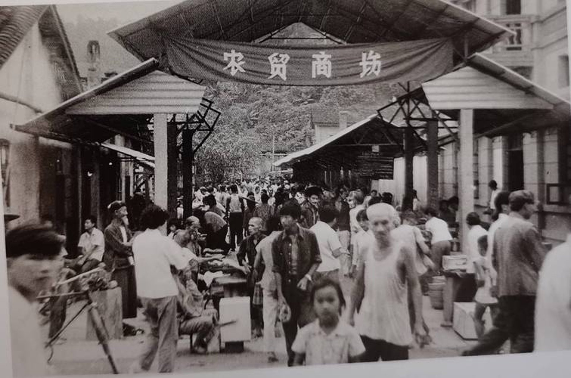 阿小省导购